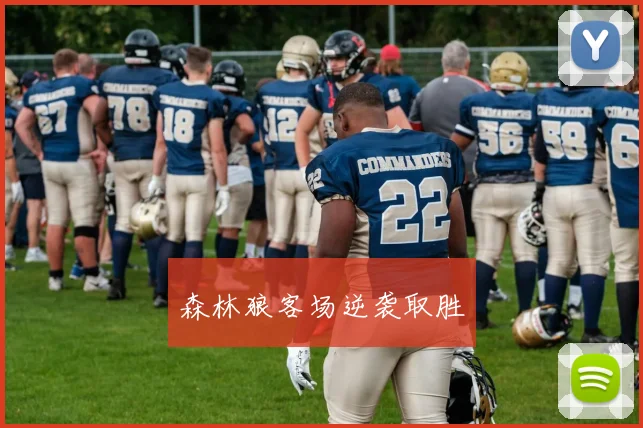 森林狼客场逆袭取胜