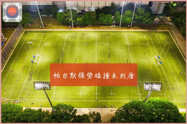 帕尔默强势碰撞米利唐